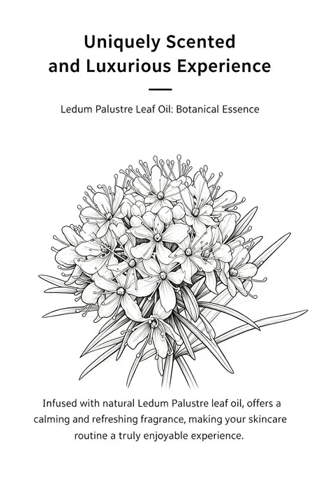 WESTELiTE Revitalizing Eye Cream with Ledum Palustre and Camellia Seed Oil, 0.7 Fl Oz